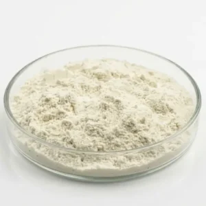 Aloe Vera Extract Powder-200X