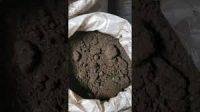Nigerian Black Soap Powder