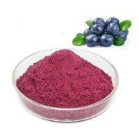 Blue-berry Fruit Extract Powder