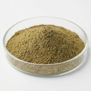 Organic Brahmi Powder