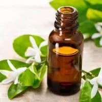 Orange Blossom Hydrosol